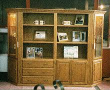 Custom Wall-Unit Bookcase